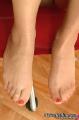 Feet In Nylon